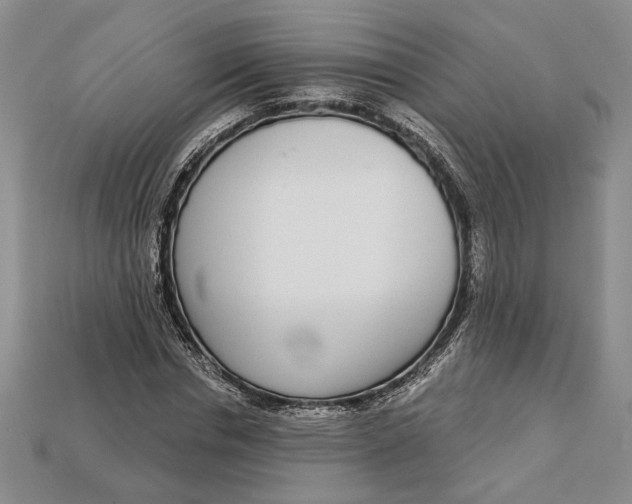 X0000112720826200909101444