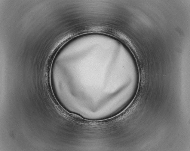 X0000112720827200909101444