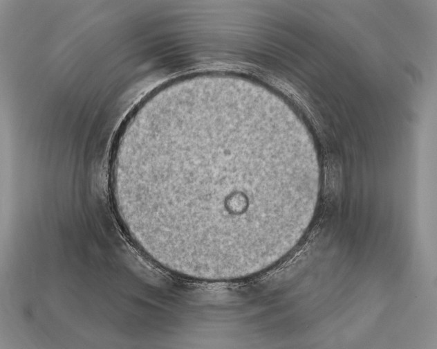 X0000112720828200909101444