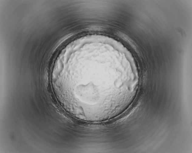 X0000112720829200909101444