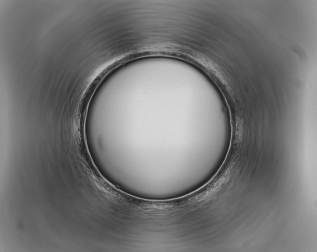 X0000112720830200909101444