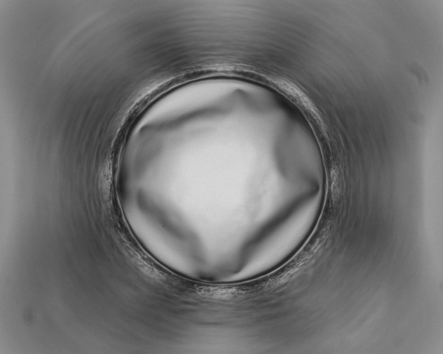 X0000112720831200909101444