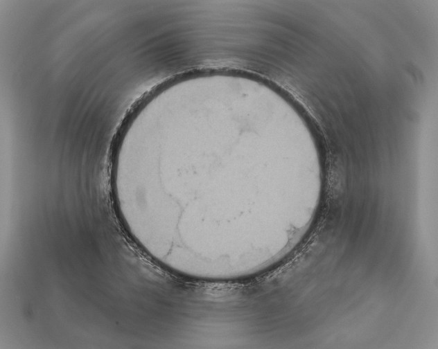 X0000112720832200909101445