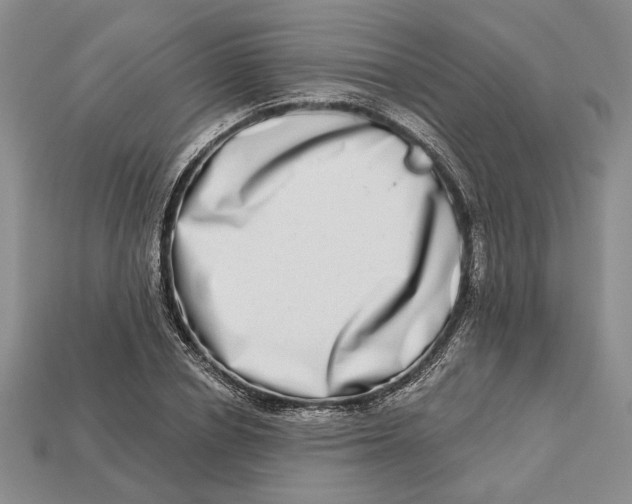 X0000112720834200909101445