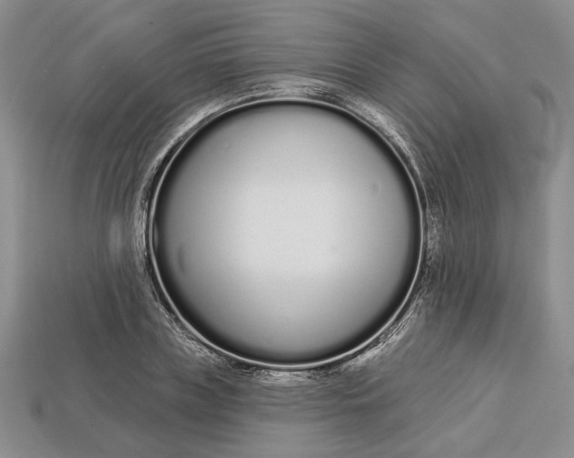 X0000112720835200909101445