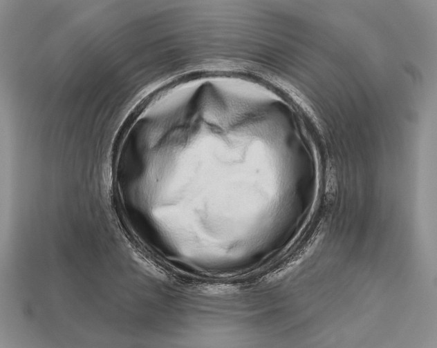 X0000112720837200909101445