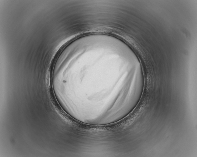 X0000112720838200909101445