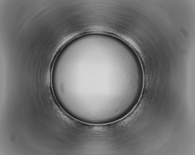 X0000112720839200909101445