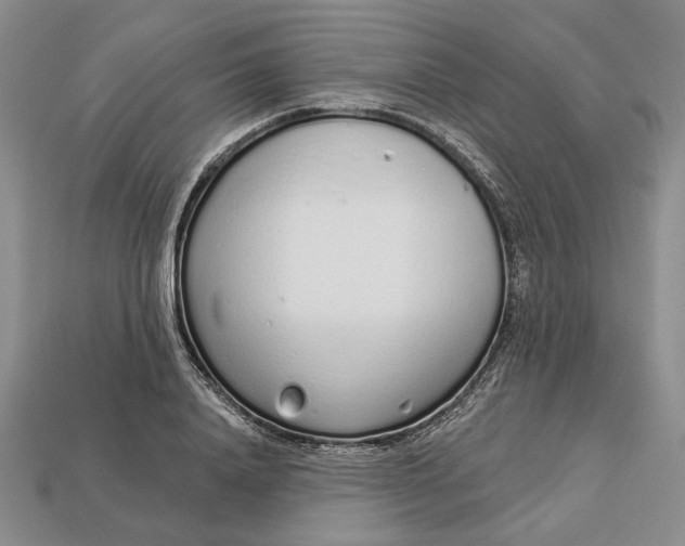 X0000112720840200909101445