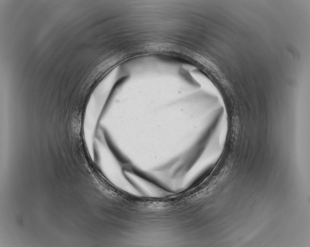 X0000112720841200909101445