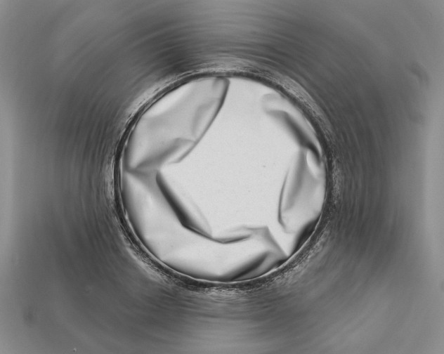 X0000112720842200909101445