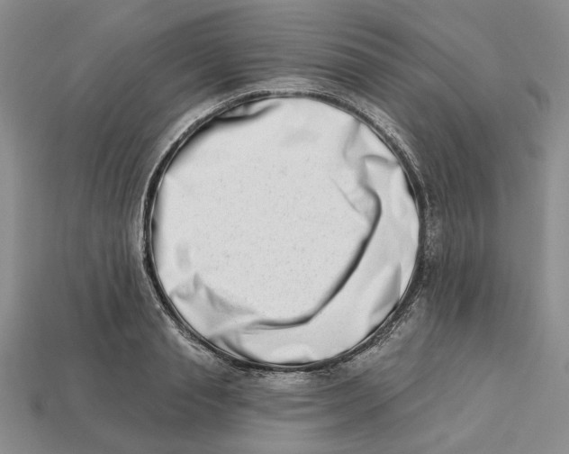 X0000112720845200909101445