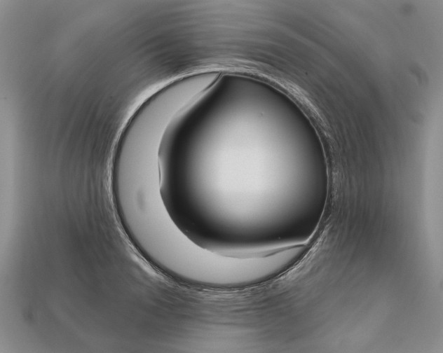 X0000112720846200909101445