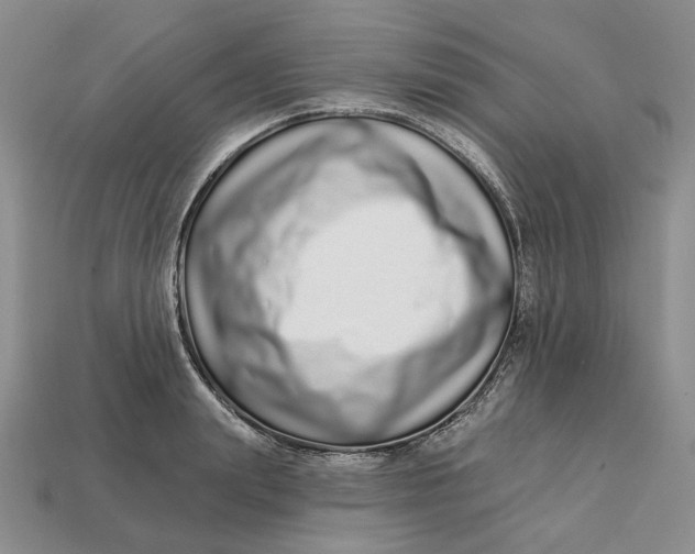 X0000112720847200909101445