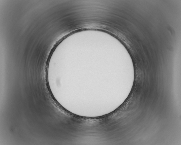 X0000112720848200909101445