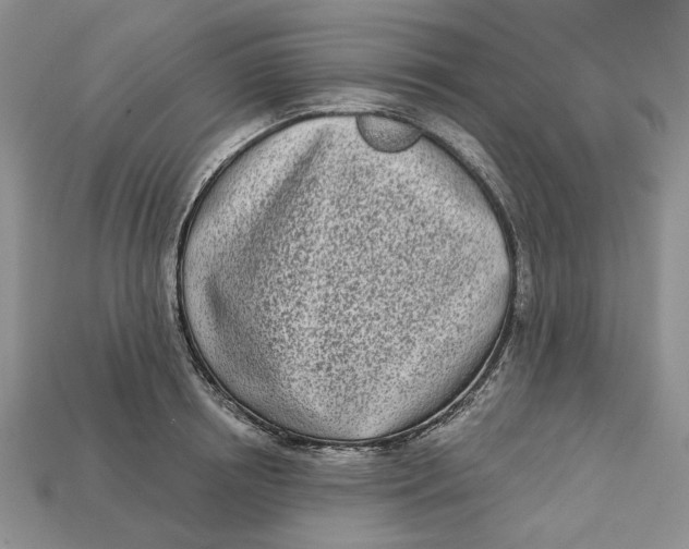 X0000112720850200909101445