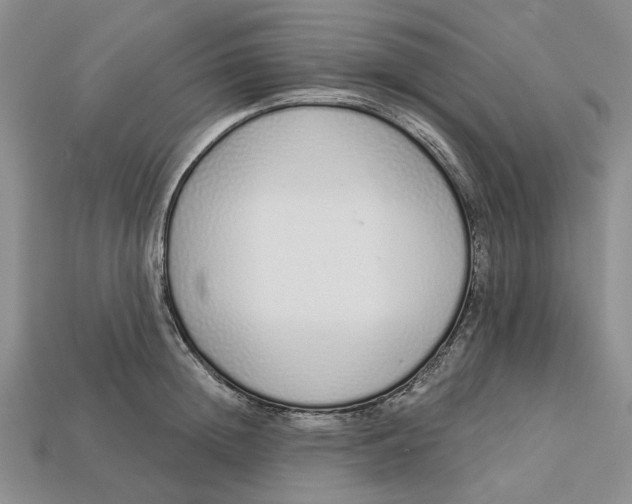 X0000112720852200909101445