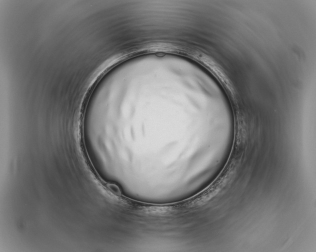 X0000112720853200909101445