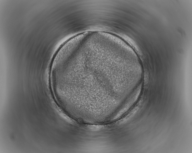 X0000112720854200909101445