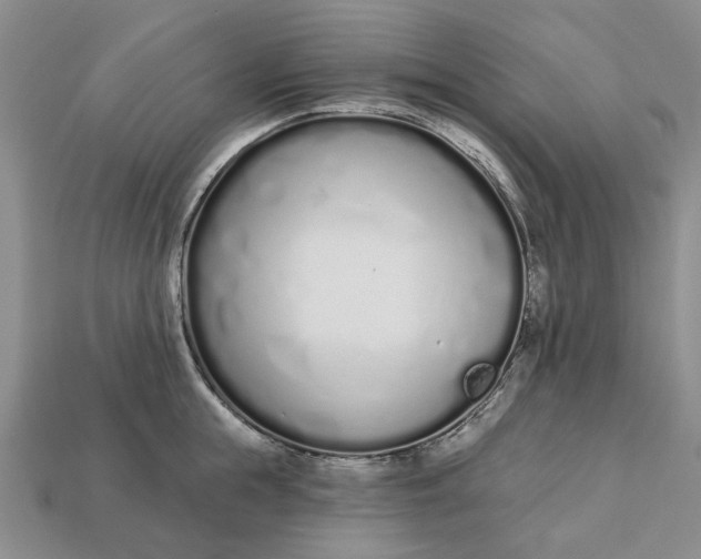 X0000112720855200909101445