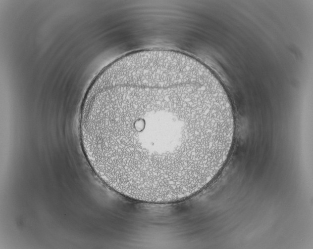 X0000112720856200909101445