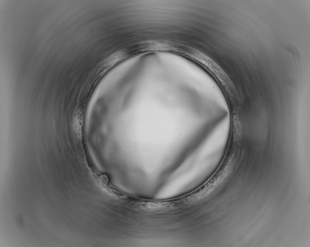 X0000112720857200909101445