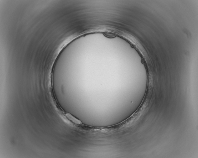 X0000112720858200909101445