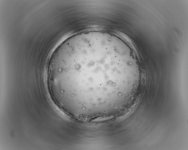 X0000112720859200909101445