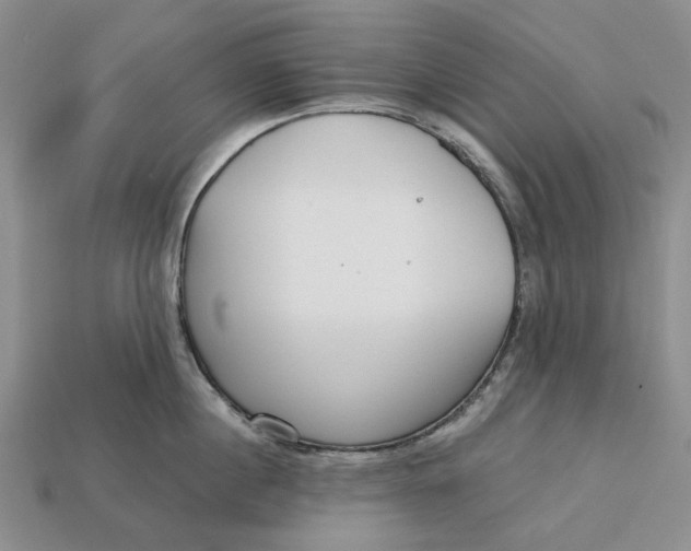 X0000112720860200909101445