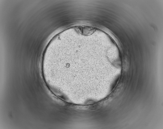 X0000112720861200909101445