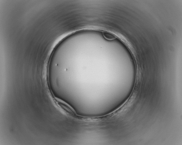 X0000112720862200909101445