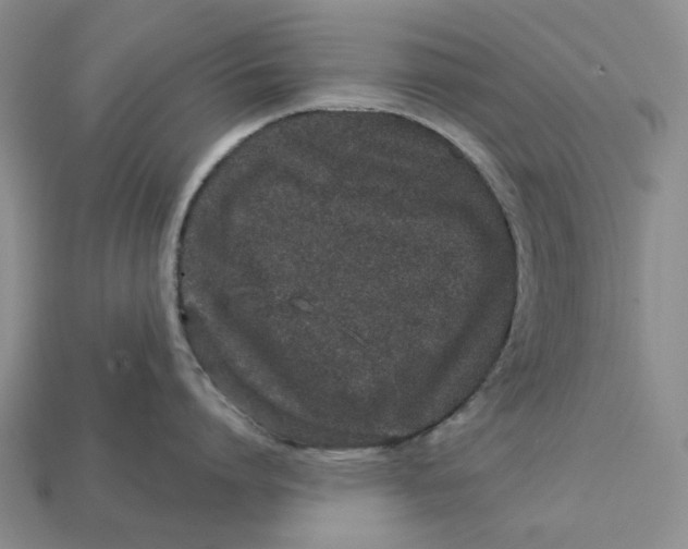 X0000112720864200909101445