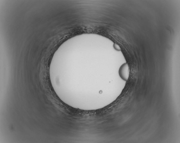 X0000112720865200909101444