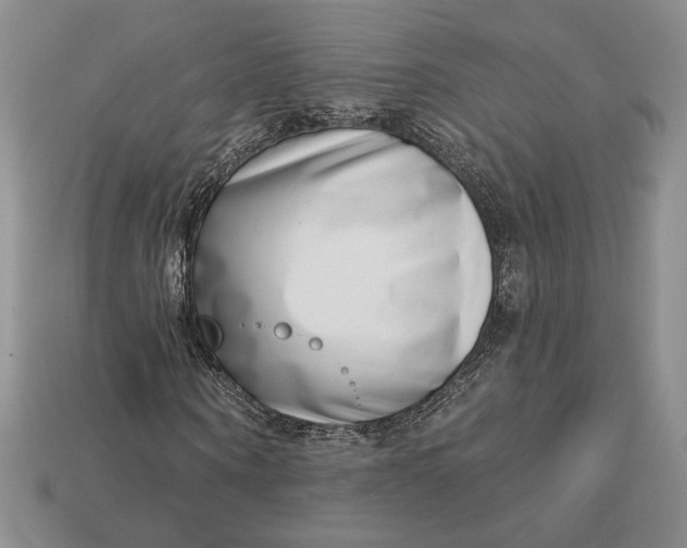 X0000112720866200909101444