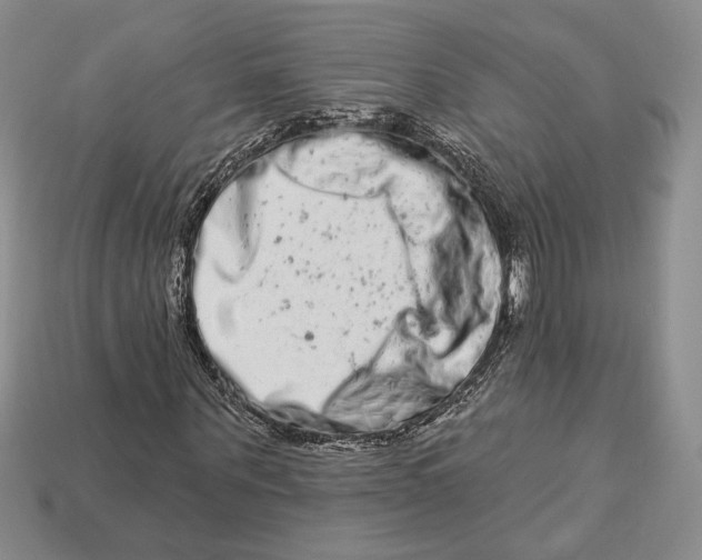 X0000112720867200909101444