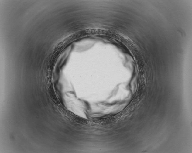 X0000112720870200909101444