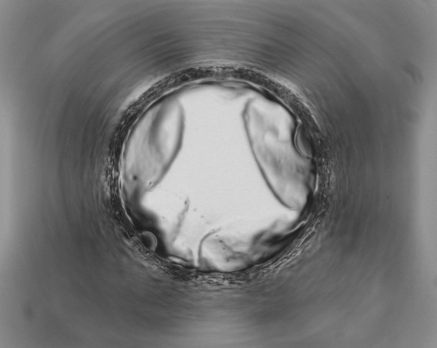 X0000112720871200909101444