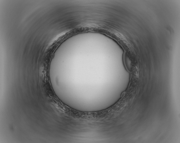 X0000112720872200909101444