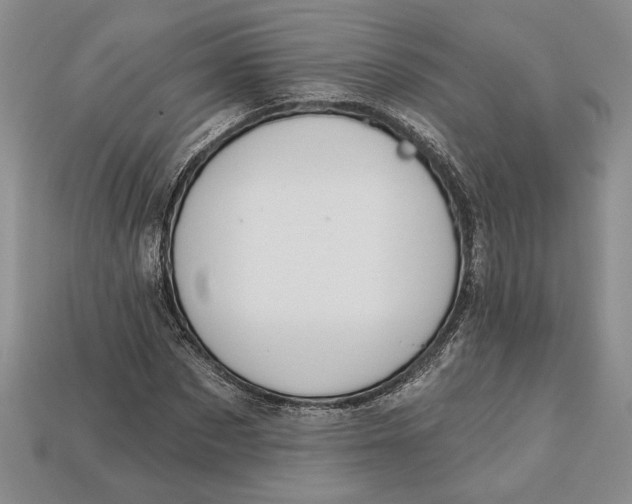 X0000112720873200909101444