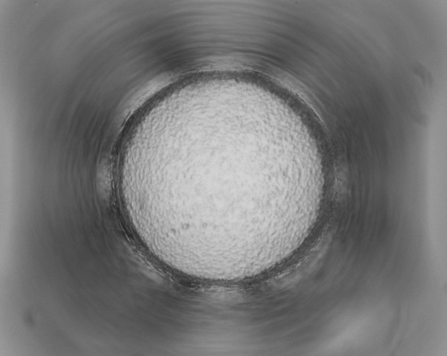 X0000112720874200909101444