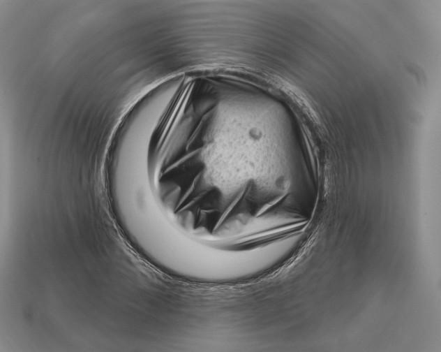 X0000112720876200909101444