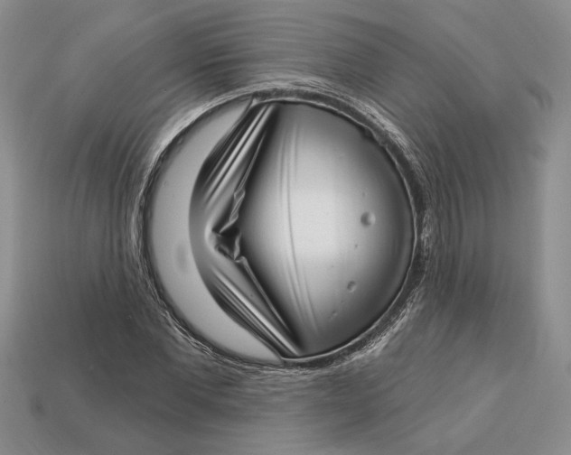 X0000112720877200909101444