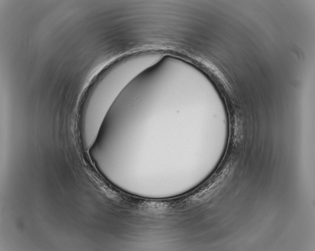 X0000112720878200909101444