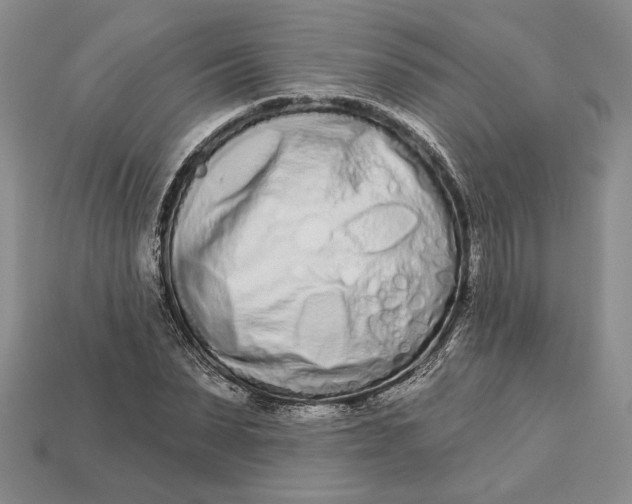 X0000112720879200909101444