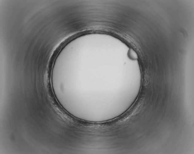 X0000112720880200909101444