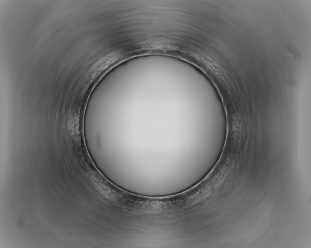 X0000112720881200909101444