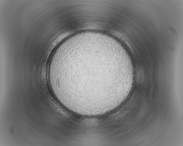 X0000112720882200909101444