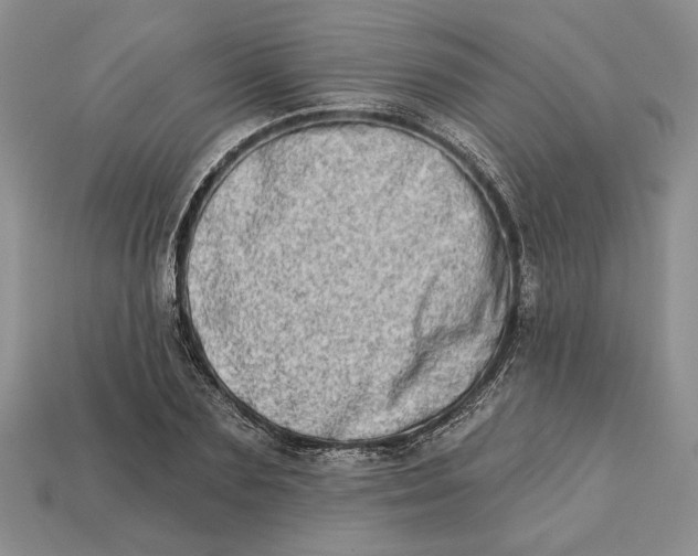 X0000112720883200909101444