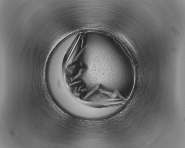 X0000112720884200909101444