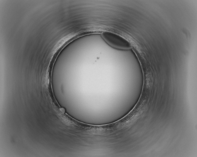 X0000112720885200909101444